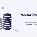 vector databases